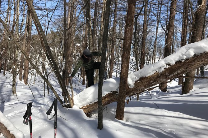 【5 Minutes From Water Ic】 Snow Trekking Half-Day Tour to Enjoy Japanese Snowscapes - Confirmation and Cancellation