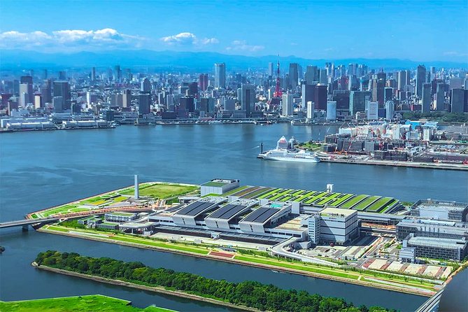 【90 Mins】 Tokaido Tour: Tokyo to Mt. Fuji Helicopter Tour - Meeting Point and Logistics