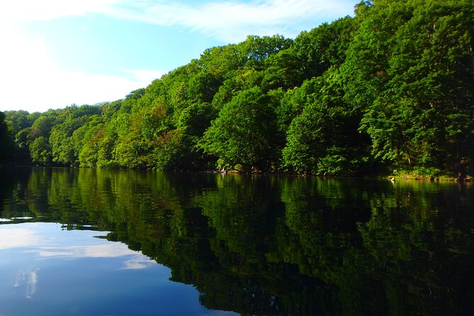 Early Morning Premium Private Clear-Bottom Kayak Tour - Safety and Experience