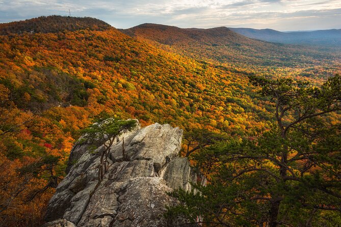 East Alabama Family Fun Multi-Attraction Pass - Included Attractions