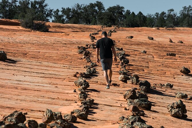 East Zion Outback UTV Tour With Licensed Guide - Whats Included in the Tour