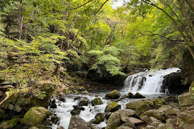 Ebike Tour in Lake Shirakaba and Tateshina Highland Japan - Ascent to Tateshina Highland