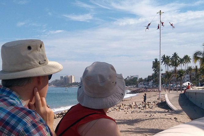 Educational and Fun Private City Tour- Puerto Vallarta - Group Size and Accessibility