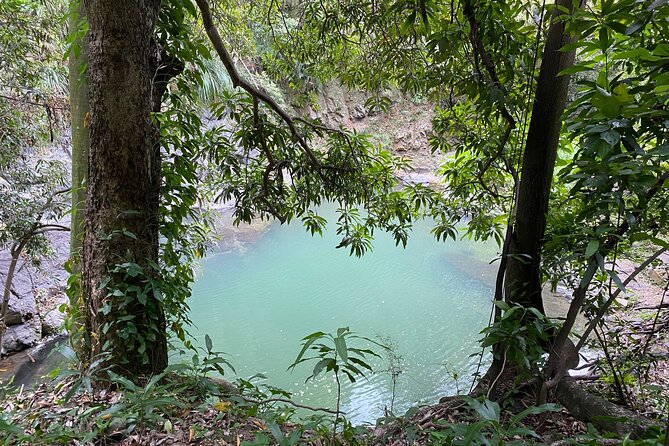 El Yunque Green Trail Day Excursion With Transport - Health and Safety Guidelines