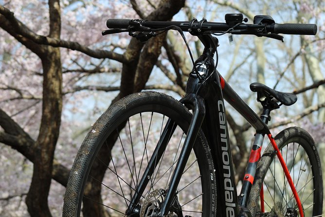 Electric Bike Tour of Manhattan and the Waterfront Greenway - User Reviews and Experiences