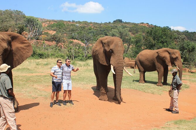 Elephant Sanctuary Tour From Johannesburg - Accessibility Features