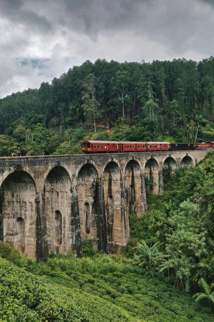 Ella: Discover Little Adams Peak, Ella Rock & 9 Arch Bridge - Highlights and Experiences