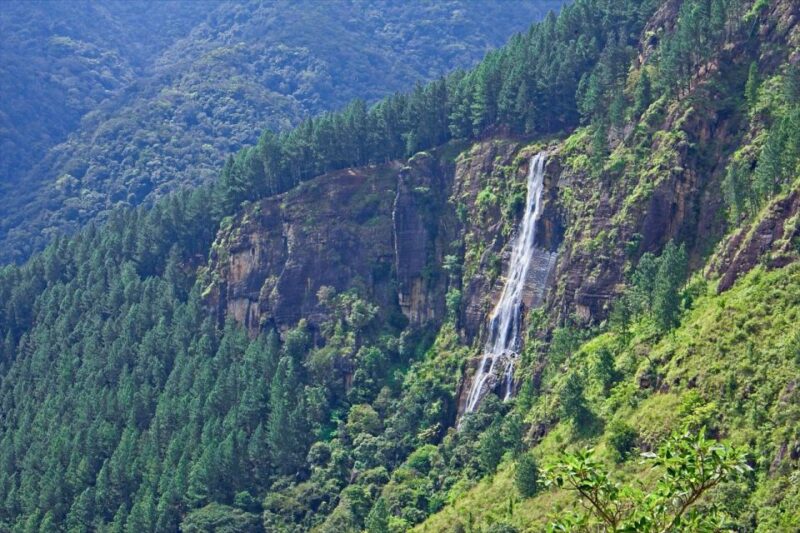 Ella:Bambarakanda Falls & Lanka Falls + Natural Pool Bath - Experience and Adventure