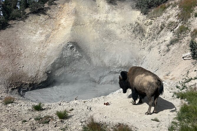 Epic Yellowstone Private Tour - Convenience and Flexibility With Pickup Options