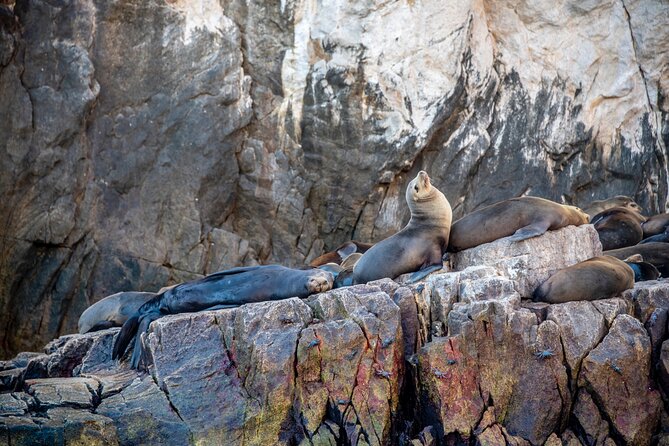 Espiritu Santo Island Tour - Inclusions and Amenities