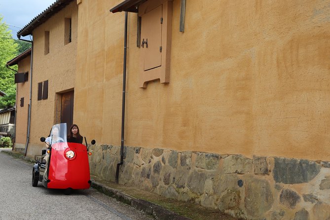 EV Car Rental Basket Group Local Tour & Guide - Inclusions and Transportation