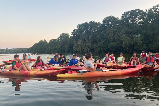 Evening Bat Watching Kayak Tour Review - Viewing the Bat Colony Emergence