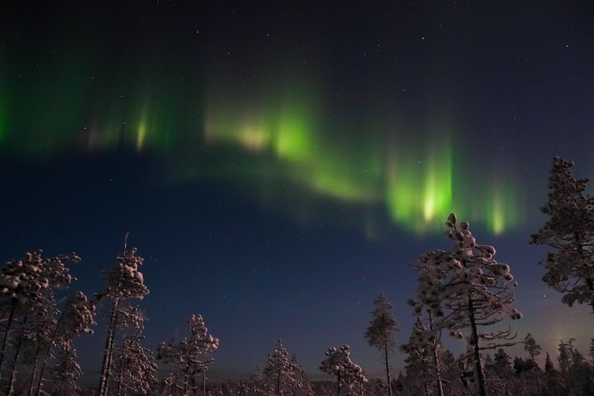 Evening Snowmobile Safari With Campfire in Saariselkä - Cozy Campfire and Refreshments