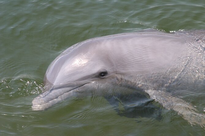 Everglades National Park Boat Tour - Accessibility