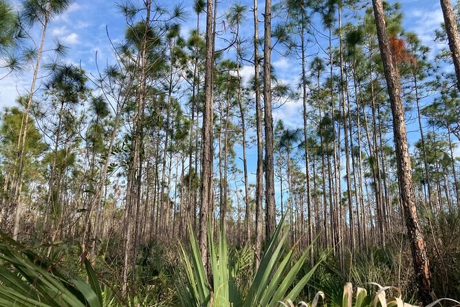 Everglades National Park Tour: Review - Lunch and Dining Options