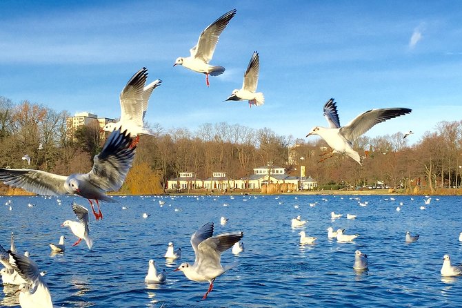 Exclusive Classic Car Tour Through the Posh Districts on the Alster - Operational Schedule