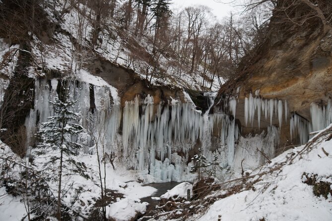 Exclusive Evening Trekking Tour to the Frozen Nanajyo Waterfall - Health and Safety Guidelines