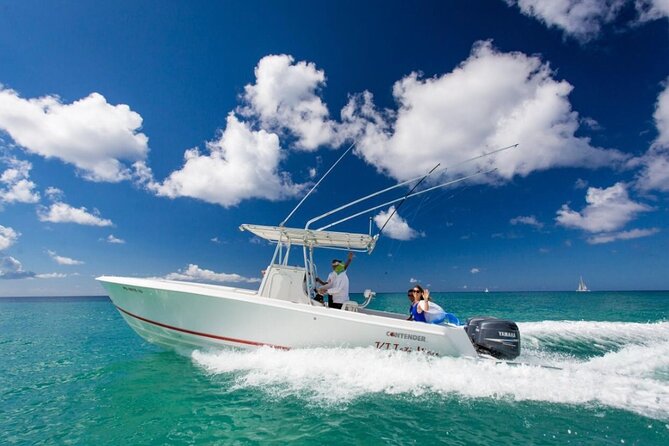 Exclusive Isla Saona Private Boat: Snorkeling & Gourmet Lunch - Health and Accessibility Considerations