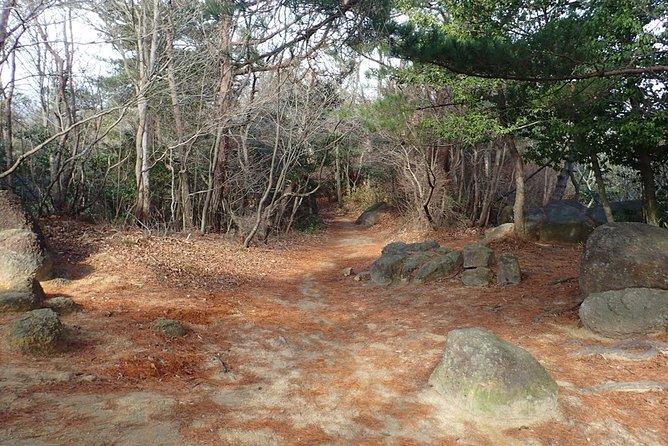 Exercise at Seto Inland Sea National Park, 1 Day Hiking on Mt. Rokko - Included Equipment and Gear