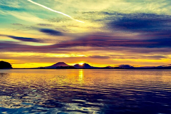Explore Beyond the Dock: Unforgettable Private Tour in Sitka - Alaska Raptor Center: Soaring Wonders