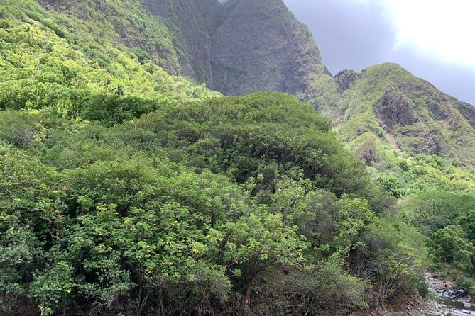 Explore Maui Private Tour - Inclusions That Enhance Your Experience