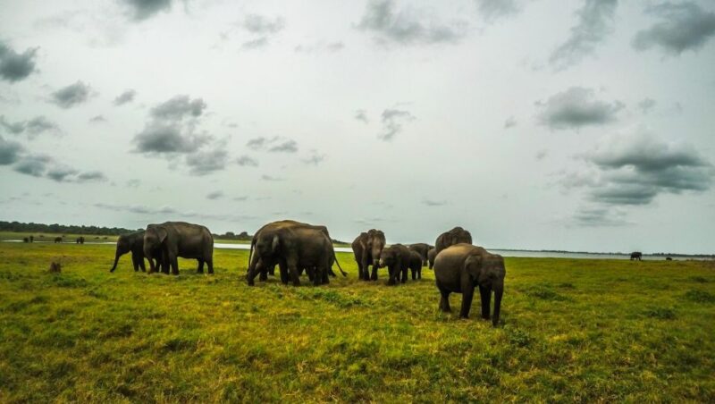 Explore Sigiriya, Kandy,Nuwaraeliya,Galle From Colombo - Sigiriya Rock Fortress