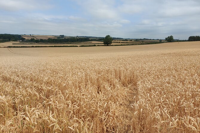 Explore the Cotswolds From Oxford Private Tour - Customizable Itinerary