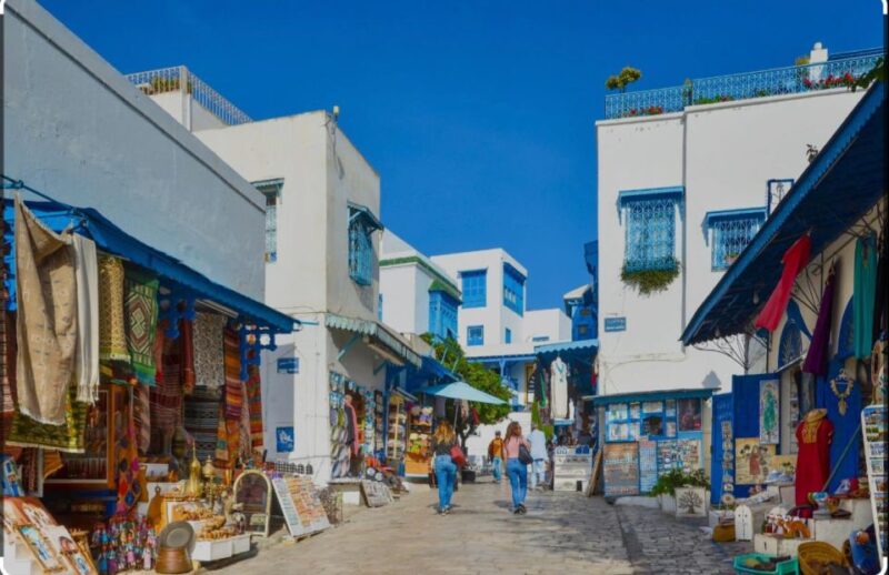 Explore the Essentials of Tunis in a Private Half Day 5 in 1 - Transportation and Accessibility