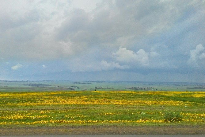 Explore the Ethiopian Rift Valley Lakes and the UNESCO Site of Steles of Tiya - Pricing and Booking Details