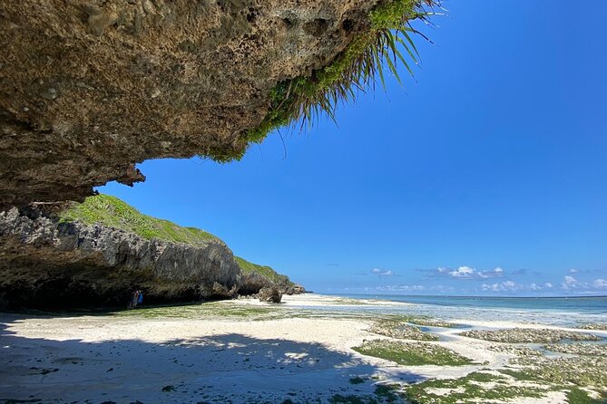 Explore Zanzibars 6 Quintessential Southeastern Charm Full Day - Overview of the Tour