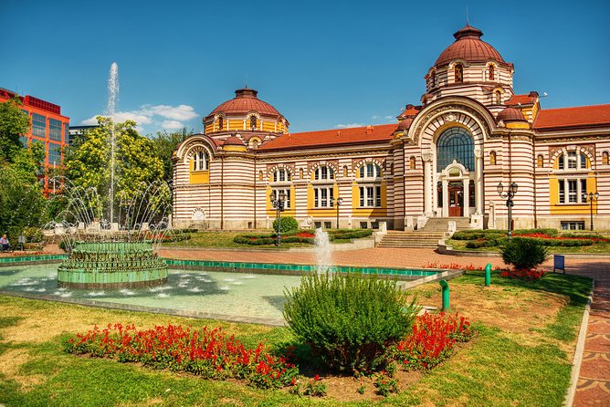 Exploring Sofia's Garden Wonders - Unique Flower Arrangements and Designs