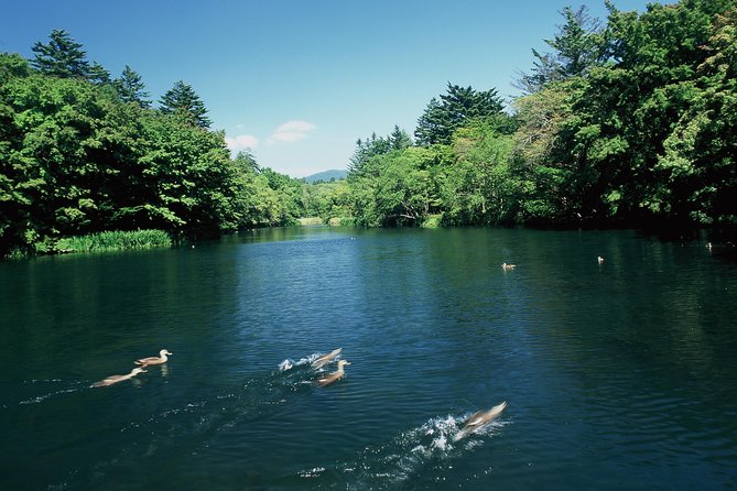 ~Exploring the Nature and Sightseeing Spots of Karuizawa~ Forest Bathing Cycling - Inclusions and Exclusions