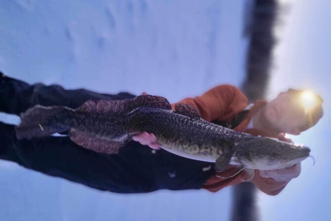 Fairbanks Ice Fishing With Transportation Review - Customer Feedback and Reviews