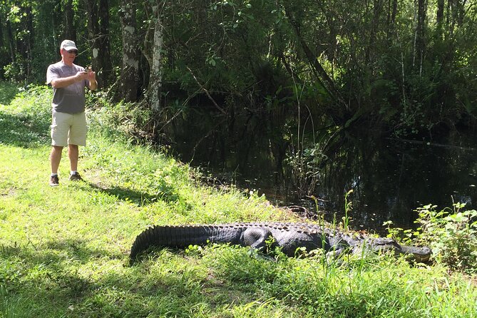 Fakahatchee Strand E-Bike Adventure Review - Schedule and Accessibility