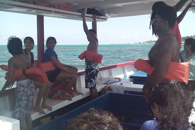 Falmouth Shore Excursion: Private Snorkel Tour - Pricing Structure