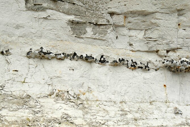 Fast-Track UNESCO Stevns Klint - Copenhagen Day Trip by Car - Accessibility Features