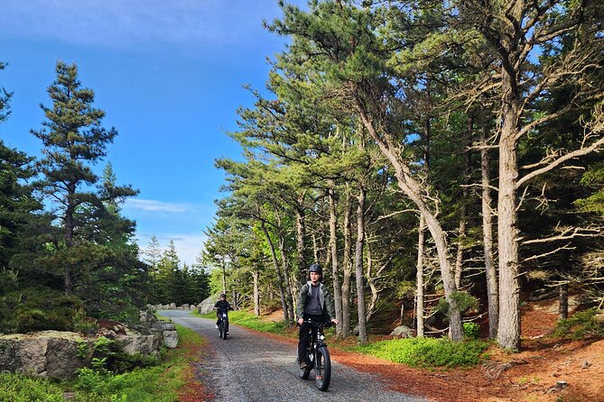 Fat Tire E-Bike Rental in Bar Harbor - Accessibility and Fitness Requirements