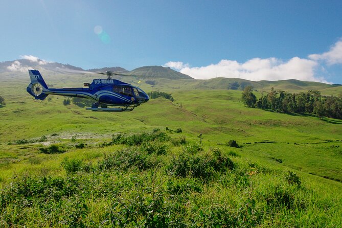 First Class Maui & Molokai Helicopter Tour Review - Meeting and Departure