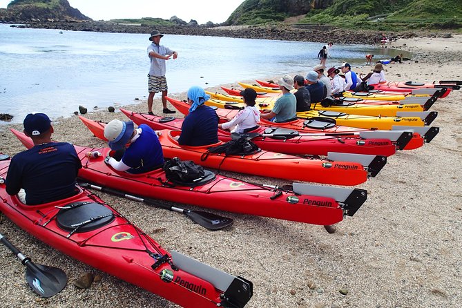 First Seakayak Tour - Additional Information