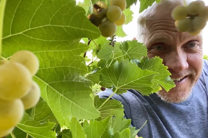 Five Star AZ Wine Crawler Tour 4- 12 PPL - Pickup Information and Locations