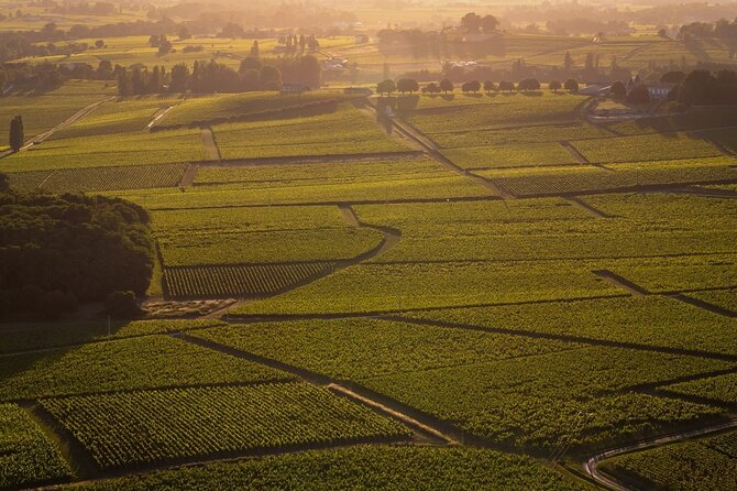 Flight Over the Great Vineyards of Aquitaine St Emilion Pomerol - Flight Schedule and Availability