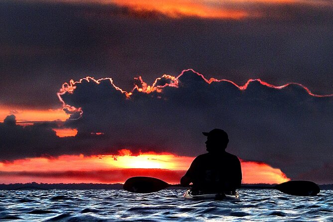 Florida Bioluminescence Clear Kayak Tour | Cocoa Beach (Kiwanis Island) - Wildlife Spotting Opportunities