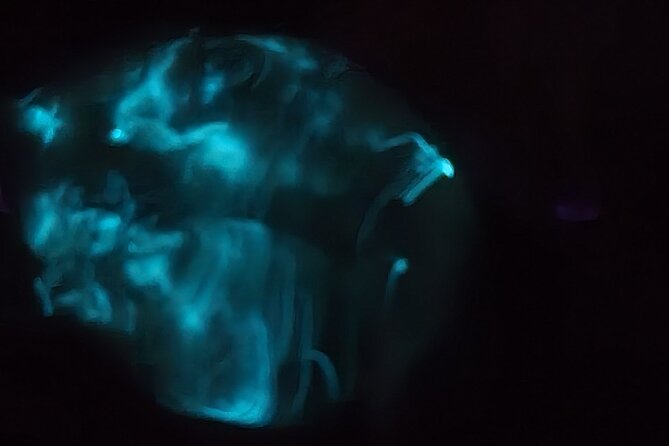 Florida Bioluminescence Kayaking Tour | Haulover Canal (Titusville) - Paddling Experience