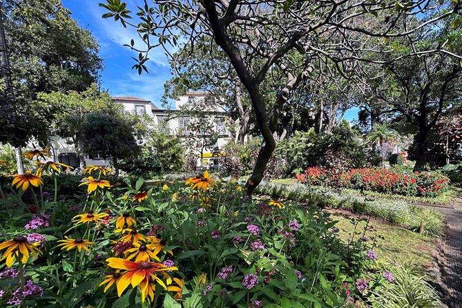 Food and Culture Tour of Funchal - Accessibility Features