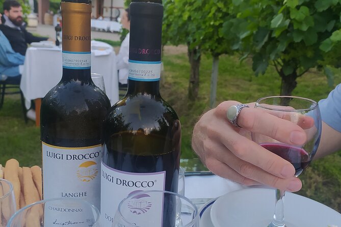 Food and Wine Tasting and Dinner in the Vineyard in the Langhe - Wine Selection and Pairing