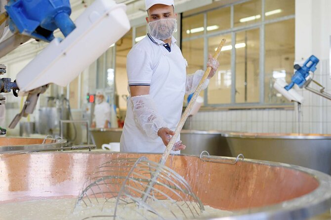 Food Tour of Apulian Specialties Walking Around Bari - Indulging in Mozzarella and Cheese