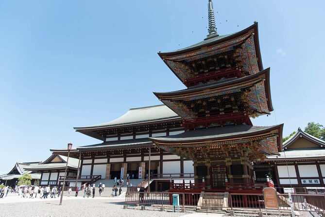 For Narita Airport Users: Layover or Transit Guided Private Tour - Meeting and Accessibility