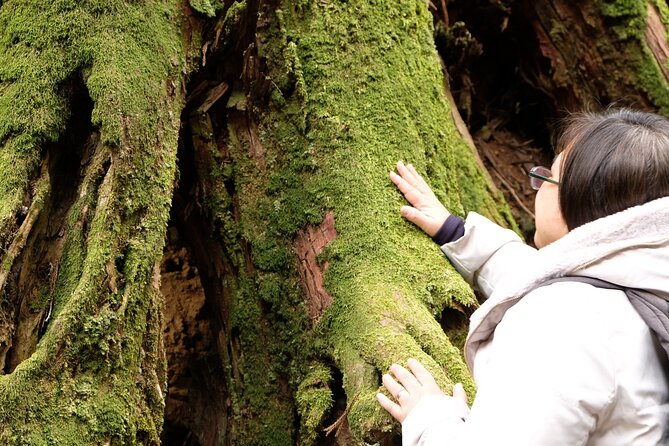 Forest Bathing in Temple and Enjoy Onsen With Healing Power - Discovering the Healing Powers of Onsen