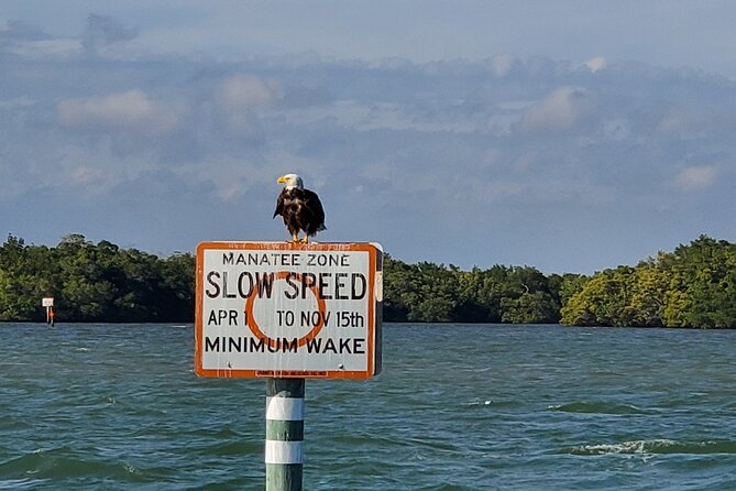 Fort Myers Beach Dolphin & Sightseeing Tour Refreshments Included - Comfortable Catamaran and Amenities