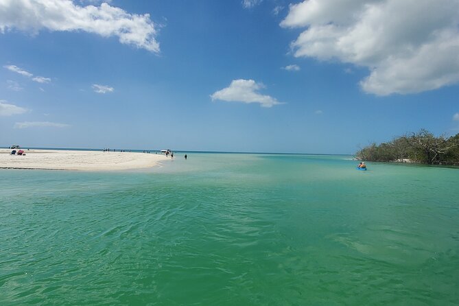 Fort Myers Beach Sightseeing Tour Review - Participant Information